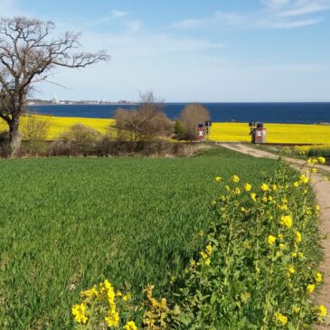 Wandern und Radfahren in der Holsteinischen Schweiz und an der Lübecker Bucht